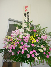 野田議員からの花